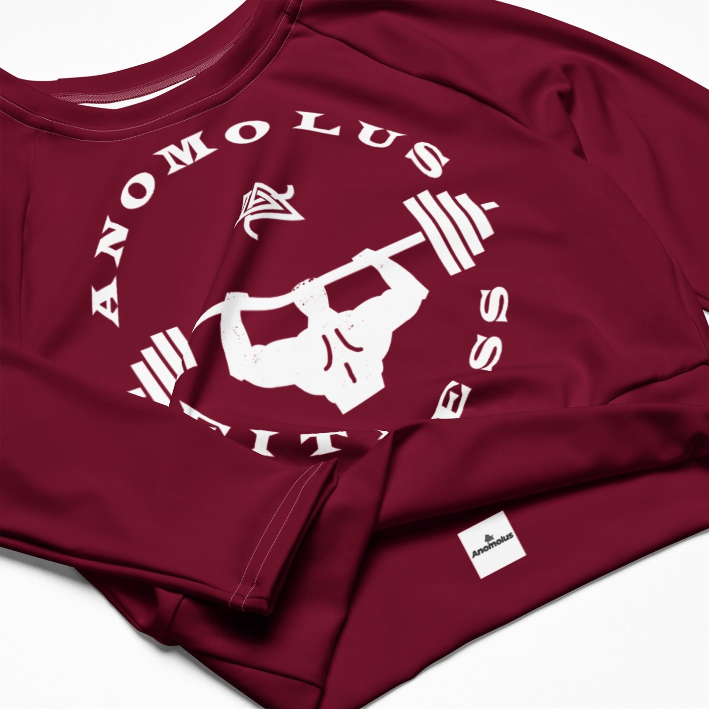 Rebirth Long Sleeve Crop Top