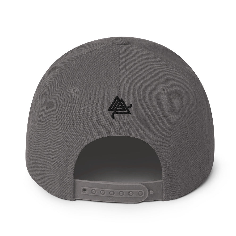 Anomolus 6-Panel Snapback Hat