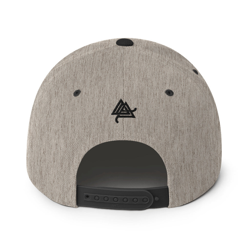 Anomolus 6-Panel Snapback Hat