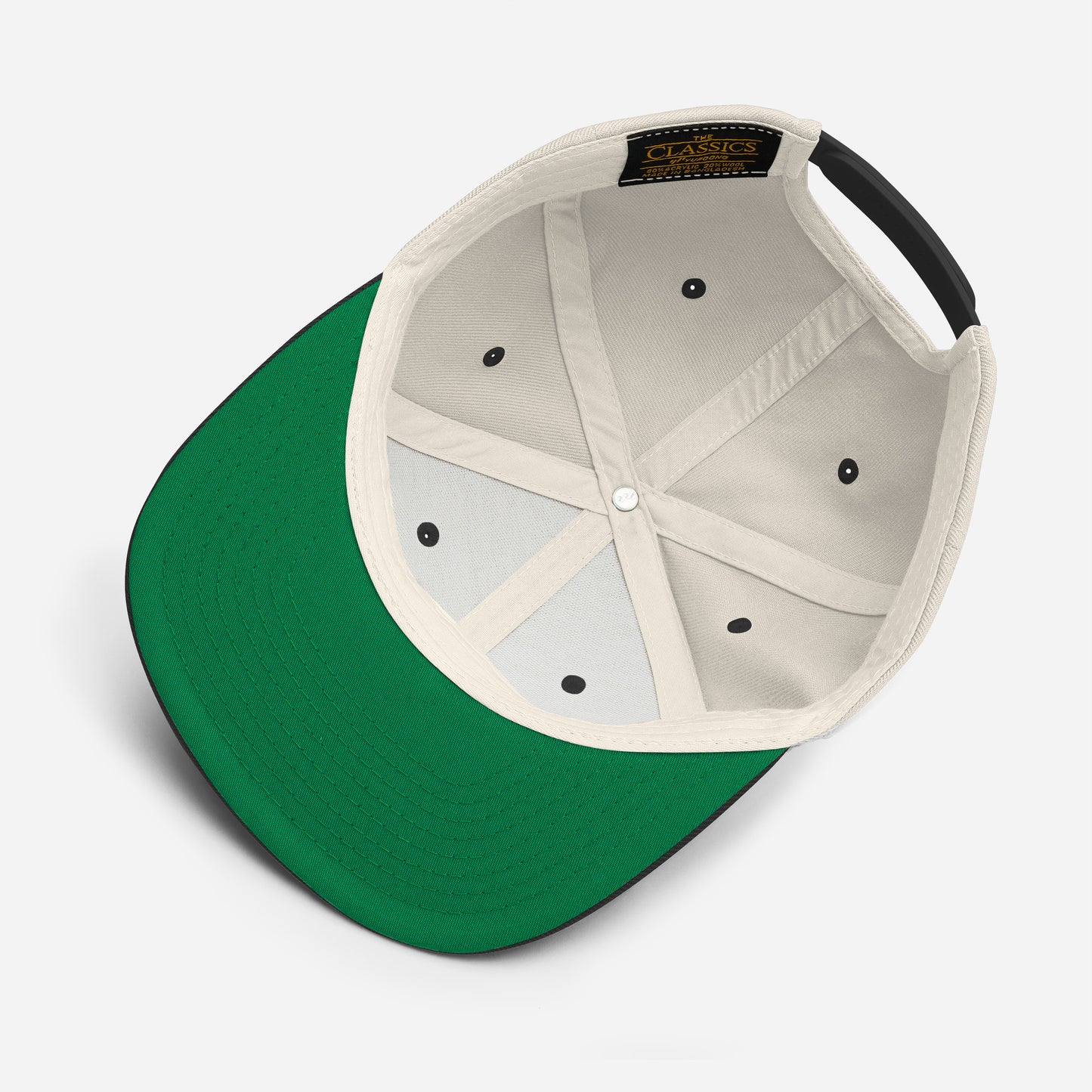 Anomolus 6-Panel Snapback Hat