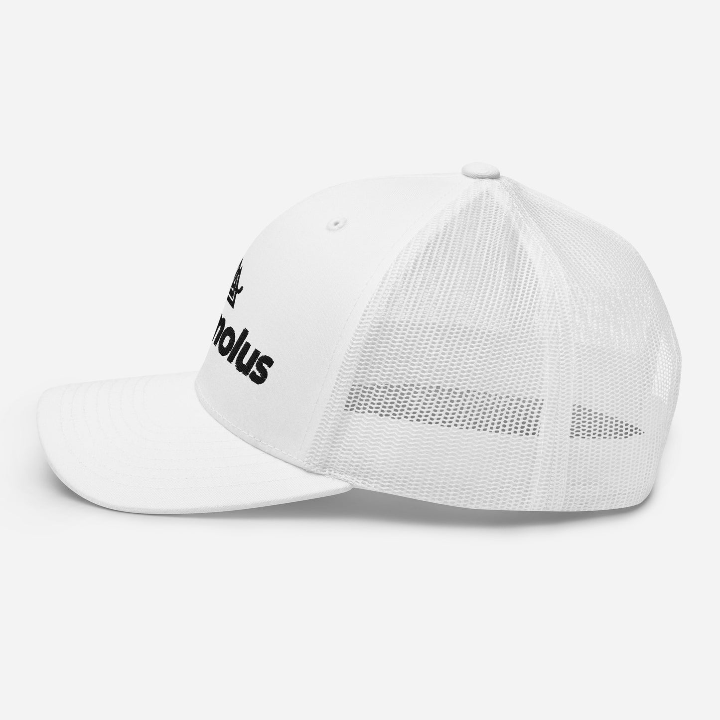 Anomolus Trucker Snap Back